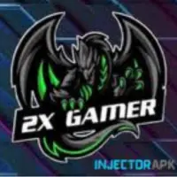 2X Gamer Injector